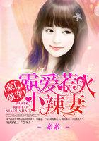 豪门强宠:霸爱惹火小辣妻